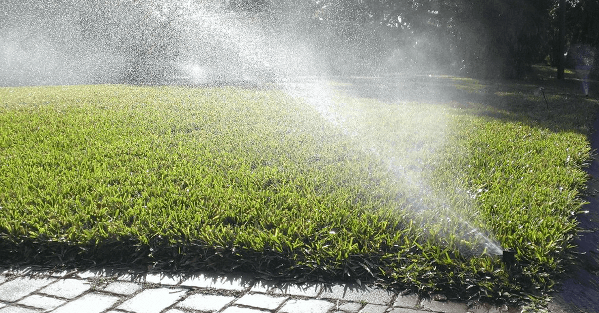 A good irrigation system will produce a good looking lawn