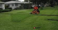 Lawn Care Pinellas