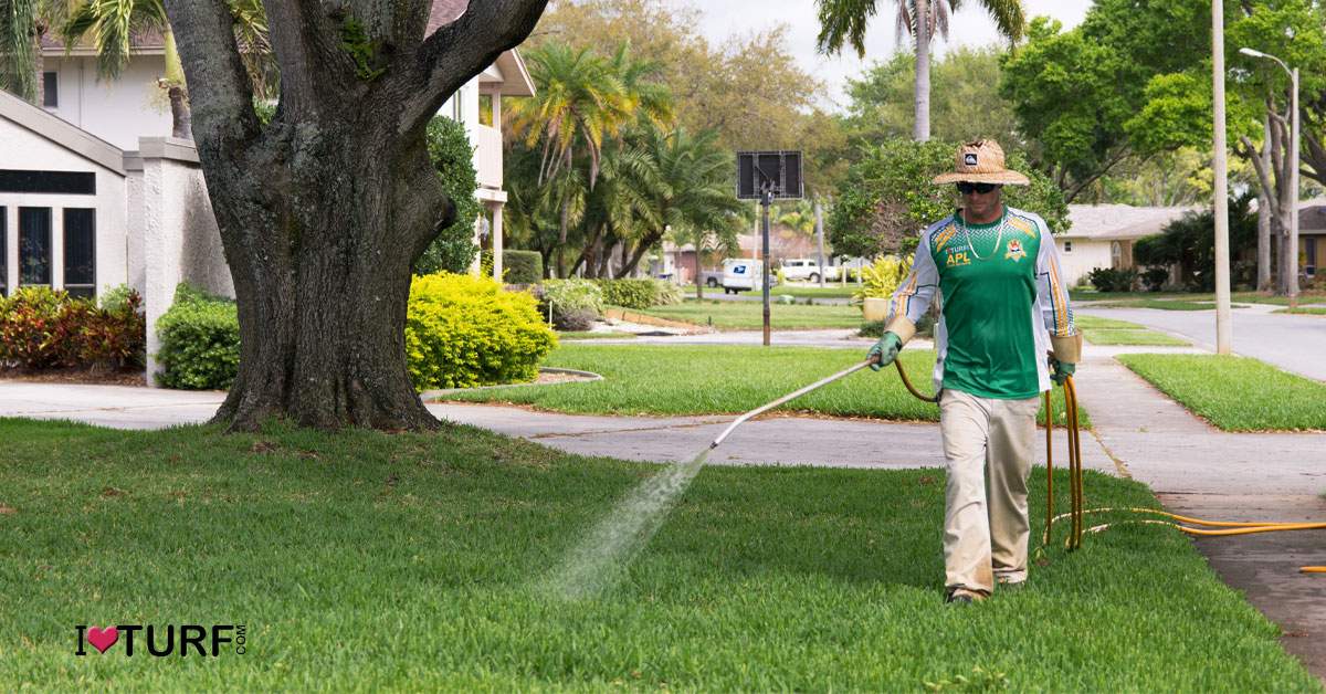 APL Pest Control Tech spraying a St Augustine Lawn