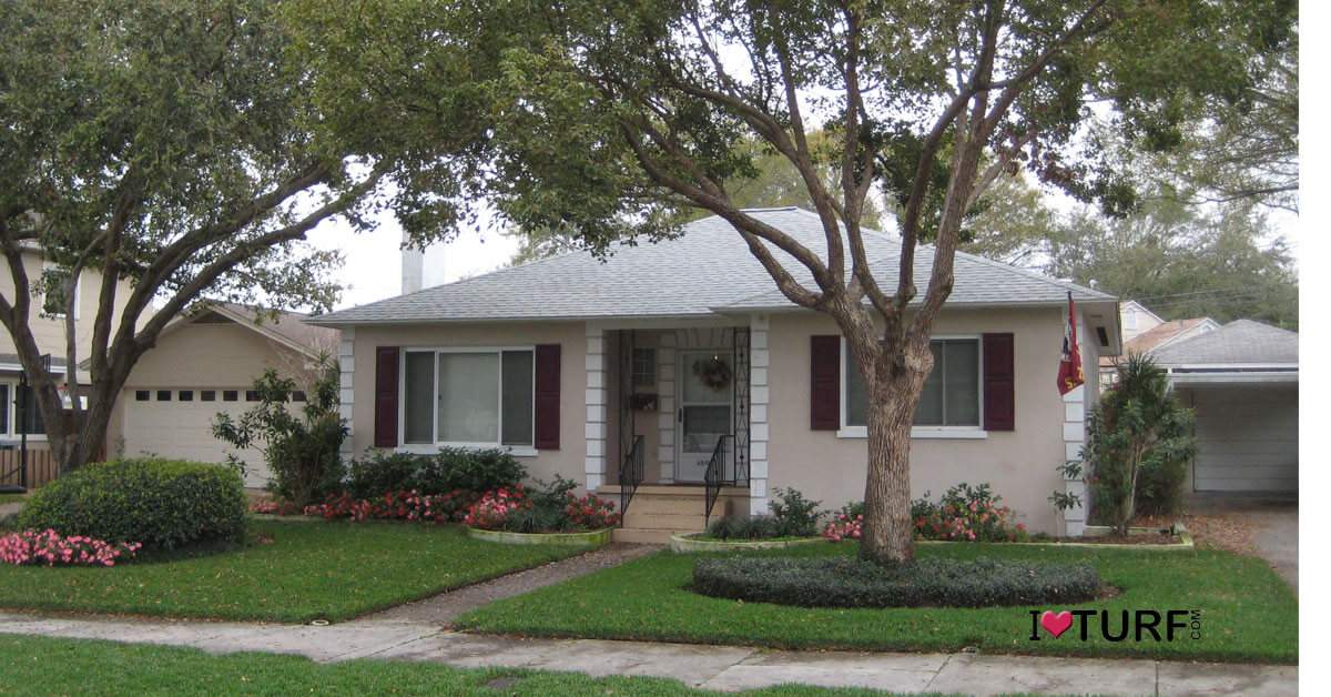 Home in Pinellas County, FL with St Augustine turf lawn