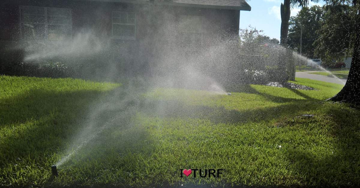 Irrigation running on a St Augustine lawn