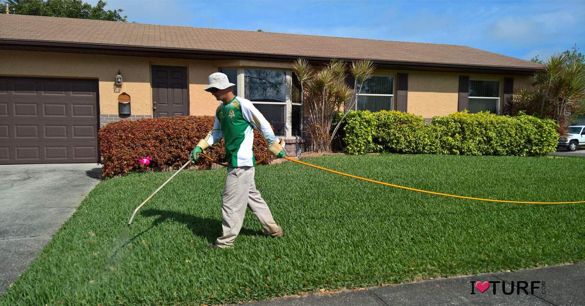 Lawn tech spraying a lawn