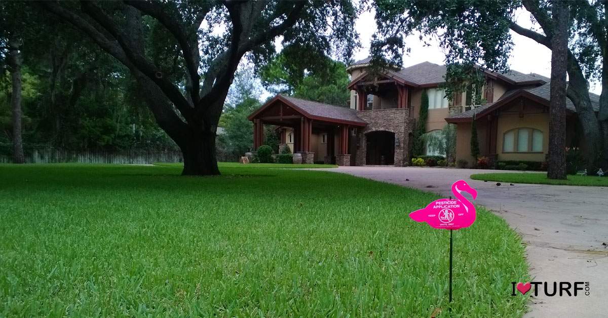 St Augustine grass lawn with posting sign