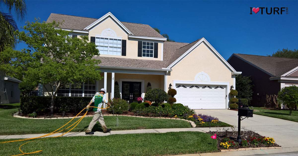 Lawn tech spraying a lawn in front of a house