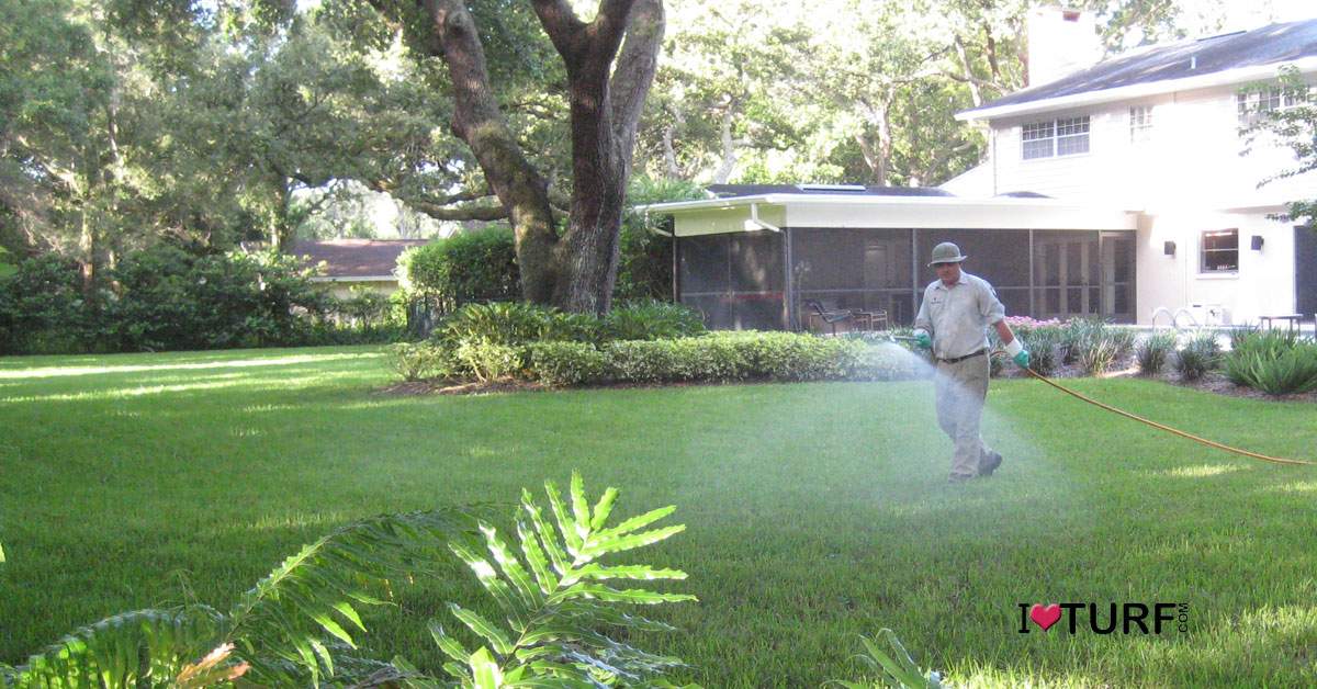 Lawn tech spraying a St Augustine lawn by a large home