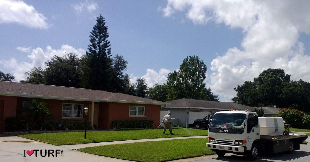 Lawn tech spraying a St Augustine lawn with Isuzu truck with sprayer equipment