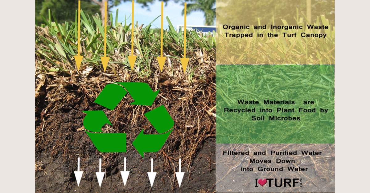 Soil Profile showing how turf recycles