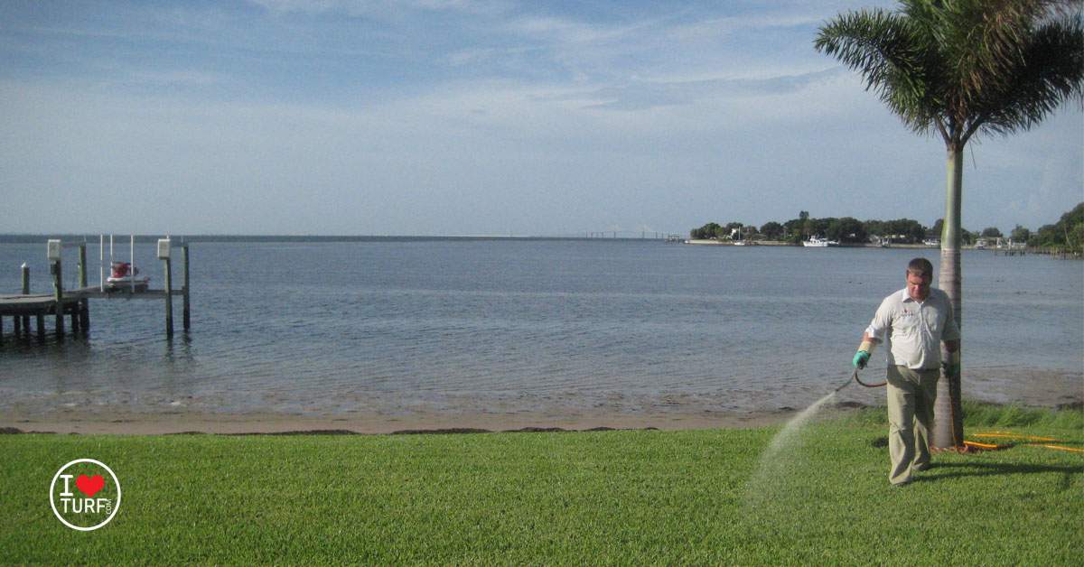 Pest Control Tech spraying a St AUgustine lawn by Tampa Bay