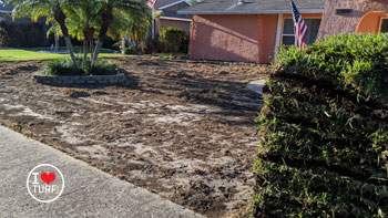 Lawn prepared for planting of sod