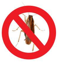 German Cockroach with "NO" Symbol