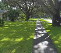 Curb Appeal:The Psychology of Lush Green Lands