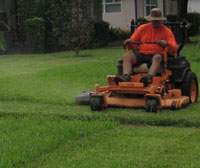 Man Mowing a St Augustine Lawn