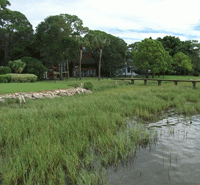 Florida Department of Environmental Protection Proves St Augustine Lawns are Good for the Environment