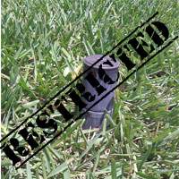 How Does SWFWMD Save Potable Water by Restricting Lawn Irrigation With Well Water?