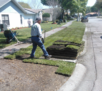 Alternative to Sodding a Lawn: Renovation